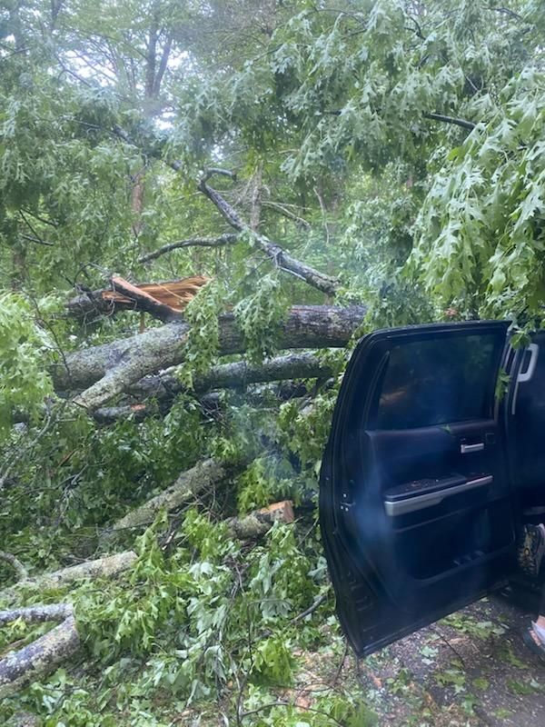 Storm damaged live oak in Wilmington NC backyard after hurricane
