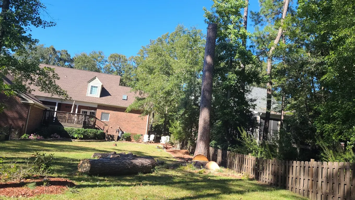 Tree removal rigging operation in Wilmington NC — sectional removal near structure