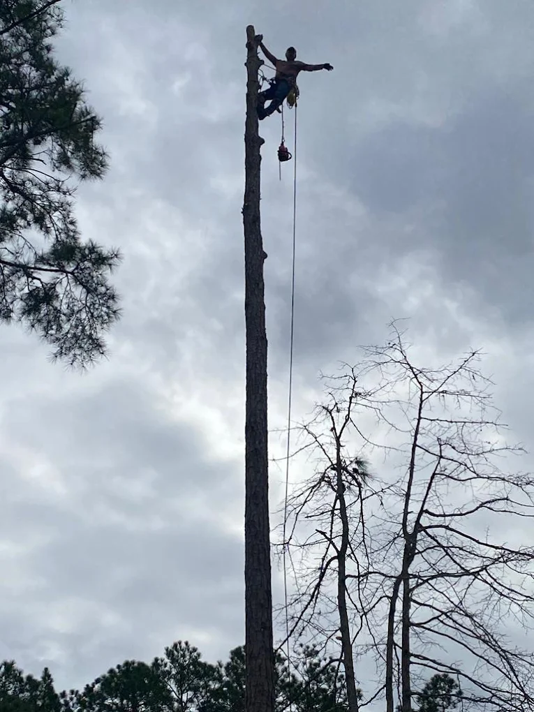 The Wilmington Situations That Almost Always Require a Crane