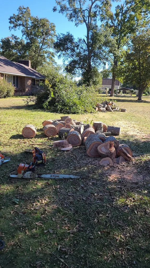 Lot clearing and tree removal in Wilmington NC