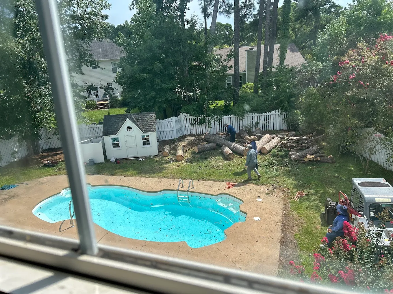 Tree removal near pool in Wilmington NC — pine over pool enclosure
