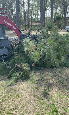 What Makes Castle Hayne Tree Removal Different From the Rest of Wilmington